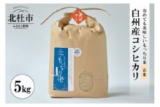 【令和6年度新米】白州産コシヒカリ　天日干し米　玄米5キロ