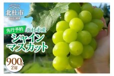 【2025年先行予約】八ヶ岳南麓の天然水で育てたシャインマスカット 900g(2房) シャインマスカット 900g 2房 山梨 数量限定 期間限定 フルーツ 2025年 先行予約 ぶどう ブドウ 葡萄 瑞々しい ジューシー 北杜市産 果物 マスカット お取り寄せ