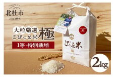 【令和7年度新米先行予約】【令和7年度米】こぴっと米【極】2kg 大粒厳選・1等特別栽培米 100％  米 精米 大粒 厳選 北杜市産 お米