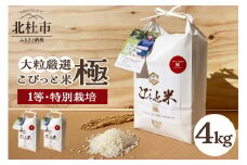 【令和7年度新米先行予約】【令和7年度米】こぴっと米【極】4kg 大粒厳選・1等特別栽培米 100％  米 精米 大粒 厳選 北杜市産 お米