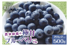 【2025年先行予約】7月～9月発送！農家秘蔵の極甘ブルーベリー　中粒500g（250g×2パック）　ブルーベリー 極甘 中粒【2025年先行予約】 計500g ハイブッシュ・ブルーベリー系 ラビットアイ・ブルーベリー系 完熟 濃厚 甘い 冷蔵 期間限定 7月～9月発送 フルーツ くだもの 山梨県 北杜市