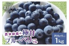 【2025年先行予約】7月～9月発送！農家秘蔵の極甘ブルーベリー　中粒1kg（250g×4パック）　ブルーベリー 極甘 中粒【2025年先行予約】 計1kg ハイブッシュ・ブルーベリー系 ラビットアイ・ブルーベリー系 完熟 濃厚 甘い 冷蔵 期間限定 7月～9月発送 フルーツ くだもの 山梨県 北杜市