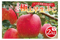 【2024年先行予約】八ヶ岳南麓自然の恵み　極上早生ふじ2kg