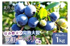 【2025年先行予約】7月～9月発送 甘み際立つ、完熟大粒ブルーベリー 1kg（250g×4パック）　ブルーベリー 完熟 大粒 【2025年先行予約】 計1kg ラビットアイ・ブルーベリー 甘い フルーツ くだもの 冷蔵 期間限定 7月～9月発送 山梨県 北杜市