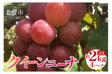 【2025年先行予約】クイーンニーナ　約500g×4パック  ぶどう クイーンニーナ 約500g×4パック 山梨県産 ブドウ フルーツ 果物 赤ぶどう 低農薬 期間限定 数量限定 【2025年先行予約】 冷蔵 北杜市