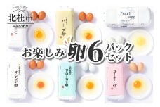 中村農場　お楽しみたまご６パックセット 卵 10個入り 6パック セット おまかせ卵 3～4種類 食べ比べ おまかせセット 中村農場 山梨県 北杜市