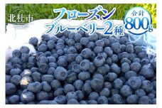 【2025年先行予約】ビッグりサイズの『フローズンブルーベリー（冷凍ブルーベリー）』400g×2品種　ブルーベリー 400g×2品種 計800ｇ 完熟 大粒 朝採り 無農薬 冷凍 フローズンブルーベリー 異なる2品種 アソート チャック付きパック 八ヶ岳南麓育ち【2025年先行予約】