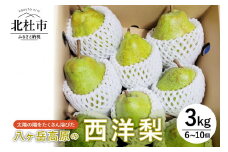 【2024年先行予約】八ヶ岳高原の西洋梨　3kg
