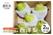 【2024年先行予約】八ヶ岳高原の西洋梨　2kg