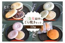三色菊最中とどら焼き　合計１０個入り 最中 どら焼き 和菓子 お茶菓子 セット 数量限定 計10個入り 小豆粒餡 白餡 柚子餡 粒餡 贈答品 引菓子 お供え物 山梨県 北杜市