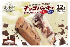 【シャトレーゼ】チョコバッキーバニラ＆チョコ詰合せ12本入　シャトレーゼ チョコバッキー 12本入り アイス 詰め合わせ セット バニラ＆チョコ バニラ チョコ 2種類 チョコ好き デザート おすすめ 人気 山梨県 北杜市