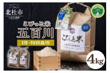 【令和7年度新米先行予約】【令和7年度米】こぴっと米【五百川】4kg　1等特別栽培米100％  米 精米 早生品種 新米 北杜市産 お米