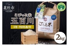 【令和7年度新米先行予約】【令和7年度米】こぴっと米【五百川】2kg　1等特別栽培米100％  米 精米 早生品種 新米 北杜市産 お米