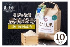 【令和7年度新米先行予約】【令和7年度米】こぴっと米【農林48号】10kg　1等特別栽培米100％   米 精米 よんぱち 幻のお米 北杜市産 お米