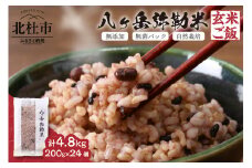 八ヶ岳弥勒(みろく)米（自然栽培・玄米ごはん・無菌パック・無添加）200g×24個