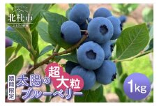 ＼お申込み終了間近！／【2025年発送】【超大粒】山梨県産（明野産）生果 ブルーベリー1,000g ブルーベリー 超大粒 期間限定 1000g 無農薬 フルーツ 生果 生果実 山梨県 北杜市 明野町 