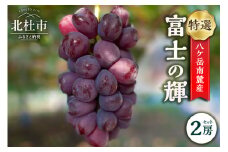 【2025年先行予約】八ケ岳南麓産「特選 富士の輝」  ブラックシャインマスカット 2025年 先行予約 2房 セット 期間限定 数量限定 特選 富士の輝 冷蔵 新品種 葡萄 ぶどう ブドウ フルーツ 果物 大粒 濃厚 コク 甘い 希少種 山梨県 北杜市 八ヶ岳南麓