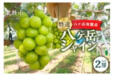 【2025年先行予約】八ケ岳南麓産ブランド「特選 八ケ岳シャイン」シャインマスカット  2025年 先行予約 2房 セット 期間限定 数量限定 八ヶ岳シャイン 葡萄 ぶどう ブドウ シャイン マスカット フルーツ 果物 高品質 大粒 甘い 朝採り 山梨県 北杜市 八ヶ岳南麓