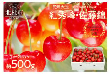 さくらんぼ L～2L 【先行予約】 約500g 毎日農業記録賞 全国最優秀賞 受賞 完熟大玉バラ 紅秀峰 佐藤錦 やまなし GAP 認証 フルーツ グランプリ ※2025年6月中旬以降順次発送 岩原果樹園 山梨県 北杜市 送料無料