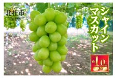 【2025年先行予約】北杜市白州　名水の里のシャインマスカット　約1kg(2房)　ご家庭用 シャインマスカット ブドウ 約1.0kg 2房 数量限定 名水の里 ぶどう 山梨県産 フルーツ 果物 くだもの ご家庭用 北杜市 白州