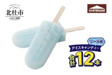 【シャトレーゼ】アイスキャンディーソーダ 12本 シャトレーゼ アイスキャンディー ソーダ アイスバー 12本 ソーダ味 アイス デザート スイーツ 氷菓子 おすすめ 人気 おやつ 夏休み 山梨県 北杜市