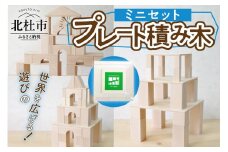 遊びの世界が広がる積み木！プレート積み木ミニセット