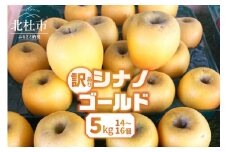 【2025年先行予約】【訳あり】シナノゴールド5kg(14個～16個） りんご 訳あり 2025年先行予約 山梨県産 シナノゴールド 期間限定 5kg 14個～16個 家庭用 規格外 フルーツ 果物 果実 山梨 北杜市