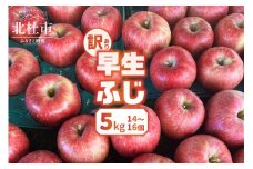 【2025年先行予約】【訳あり】早生ふじ5kg(14個～16個） りんご 訳あり 2025年先行予約 山梨県産 早生ふじ 期間限定 5kg 14個～16個 家庭用 規格外 フルーツ 果物 果実 山梨 北杜市
