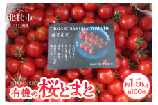 極上の有機桜とまと 1.5kg詰め合わせ トマト 1.5kg 詰め合わせ 約100粒 桜とまと 有機のチェリートマト ミニトマト 期間限定 数量限定 名水育ち 有機栽培 有機野菜 プチトマト 野菜 新鮮 極上 山梨県産 北杜市産