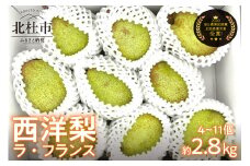 西洋梨《ラ・フランス》約2.8kg（4～11玉）【2025年先行予約】光センサーで糖度14度以上を確認済 ラ・フランス 西洋梨 約2.8kg 【先行予約】 毎日農業記録賞・全国最優秀賞受賞 やまなしGAP認証 梨 フルーツ 果物 甘い ジューシー 糖度14度以上 安全安心 高品質 贈答品 贈答 数量限定 山梨県産 北杜市