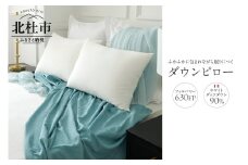 630FPダウンピロー（フランス産ホワイトダックダウン使用）