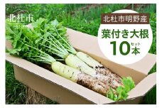 【2025年先行予約】北杜市明野産 「葉付き大根」10本セット（10kg程度）葉付き 大根 10本 セット 野菜 10kg程度 北杜市明野産 ダイコン 農薬不使用 有機肥料 新鮮 大根葉 生食 煮物 期間限定 山梨県 北杜市