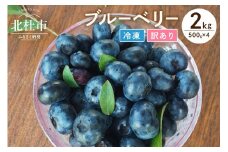 【訳あり】O-B-Iベリ―農園の冷凍ブルーベリー2kg（500g×4）