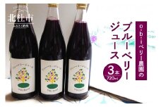 O-B-Iベリー農園のブルーベリージュース　720ml×3本