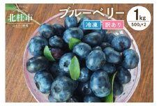 【訳あり】O-B-Iベリ―農園の冷凍ブルーベリー1kg（500g×2）