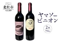 義見農園　ヤマソービニオン（赤ワイン）2本　ワイン 赤ワイン 750ml 2本 ヤマソービニオン 山ぶどう種 カベルネソーヴィニヨン種 交配 ブドウ 深みある味わい 義見農園 ワインショップヨシミ 山梨県 北杜市