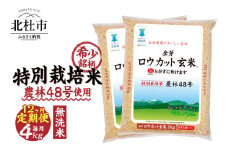 【12ヵ月定期便】金芽ロウカット玄米特別栽培米農林48号2kg×2
