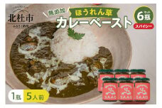 スパイシーほうれん草カレーペースト 6瓶セット カレーペースト 1瓶230g 5人前 スパイシー 6個 ほうれん草 カレー ペースト 無添加 こだわり 簡単 本格スパイスカレー 瓶詰 持ち運び アウトドア 仕送りギフト 山梨県 北杜市