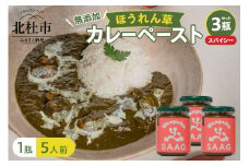 スパイシーほうれん草カレーペースト 3瓶セット カレーペースト 1瓶230g 5人前 スパイシー 3個 ほうれん草 カレー ペースト 無添加 こだわり 簡単 本格スパイスカレー 瓶詰 持ち運び アウトドア 仕送りギフト 山梨県 北杜市