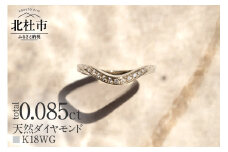 K18 DRIP ダイヤモンド リング【K18WG】  リング 指輪 ダイヤ アクセサリー ジュエリー レディース ホワイトゴールド WG K18 天然ダイヤモンド 鑑別書付 保証書付 ジュエリーケース付 ギフト プレゼント 贈り物  【北杜市20周年記念返礼品】