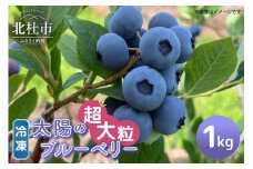 【超大粒】山梨県産（明野産）冷凍　ブルーベリー1,000g 　ブルーベリー 超大粒 冷凍 1000g 無農薬 期間限定 数量限定 フルーツ くだもの 冷凍フルーツ 新鮮 ジュース ジャム お菓子 山梨県 北杜市 明野町