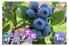 【大粒】山梨県産（明野産）冷凍　ブルーベリー1,000g  ブルーベリー 冷凍 1000g 大粒 無農薬 期間限定 数量限定 フルーツ くだもの 冷凍フルーツ 新鮮 ジュース ジャム お菓子 山梨県 北杜市 明野町