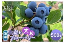 【大粒】山梨県産（明野産）冷凍　ブルーベリー500g　ブルーベリー 冷凍 500g 大粒 無農薬 期間限定 数量限定 フルーツ くだもの 冷凍フルーツ 新鮮 ジュース ジャム お菓子 山梨県 北杜市 明野町