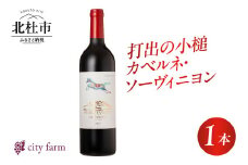 打出の小槌 カベルネ・ソーヴィニヨン 2022　1本　ワイン 赤ワイン カベルネ・ソーヴィニヨン 2022 750ml 1本 数量限定 赤 国産ワイン 山梨県産 白州産 北杜市産 完熟 黒系果実 オーク樽 樽香 タンニン 酸味 料理に合う 記念日 贈り物 プレゼント