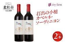 打出の小槌 カベルネ・ソーヴィニヨン 2022　2本　ワイン 赤ワイン カベルネ・ソーヴィニヨン 2022 750ml 2本 数量限定 赤 国産ワイン 山梨県産 白州産 北杜市産 完熟 黒系果実 オーク樽 樽香 タンニン 酸味 料理に合う 記念日 贈り物 プレゼント