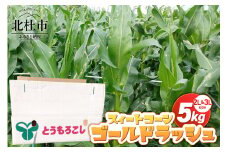 【2025年先行予約】スィートコーン・ゴールドラッシュ 2L&3L 期間限定 数量限定 とうもろこし トウモロコシ ゴールドラッシュ コーン スイートコーン 2L&3L 5kg 10本～12本 甘い 北杜市産
