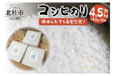 コシヒカリ3合 真空パック10個セット  米 コシヒカリ 真空パック 3合 約450g 10個 農薬不使用 化学肥料不使用 長期保管 真空包装 備蓄 山梨県 北杜市
