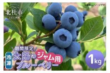 【ジャム用】山梨県産（明野産）冷凍　ブルーベリー1,000g ブルーベリー 冷凍 期間限定 1,000g ジャム用 明野産 無農薬 フルーツ 果実 山梨県 北杜市 明野町