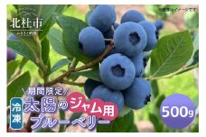 【ジャム用】山梨県産（明野産）冷凍　ブルーベリー500g ブルーベリー 冷凍 期間限定 500g ジャム用 明野産 無農薬 フルーツ 果実 山梨県 北杜市 明野町