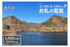 お礼の電気　北杜市から再生可能エネルギーのお届け（30,000円分）  電気 再生可能エネルギー 1,100kWh 30,000円分 CO2フリー でんき 電気 地域電力 水力発電 再生可能 エネルギー お礼の電気 北杜市産 ヴィジョナリーパワー 山梨県 北杜市